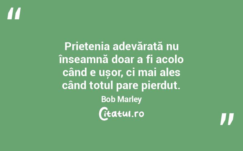 Prietenia adevărată nu înseamnă doar a fi acolo când e ușor, ci mai ales când totul pare pierdut. Bob Marley