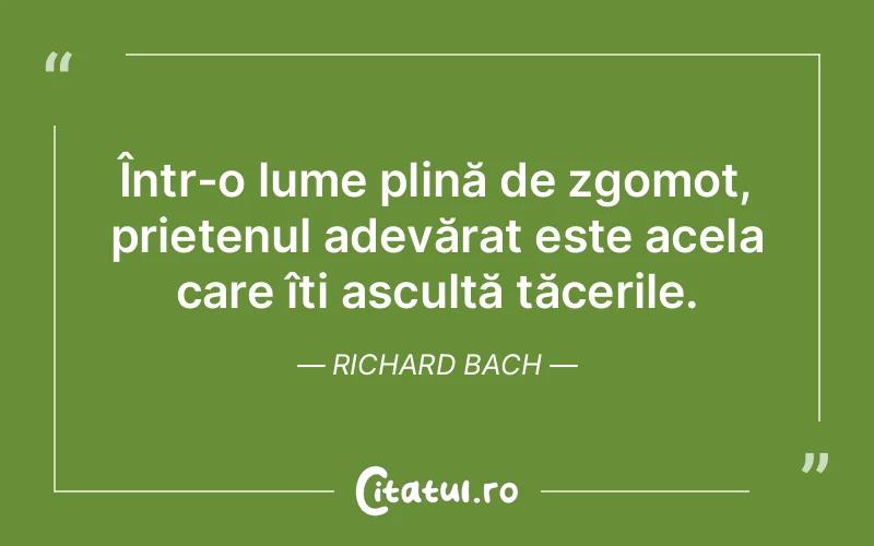 Citat Richard Bach - citate prietenie