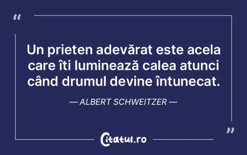 Citat Prietenie - Citatul.ro