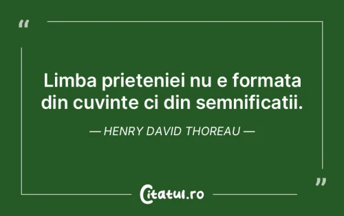 Citat Prietenie - Citatul.ro