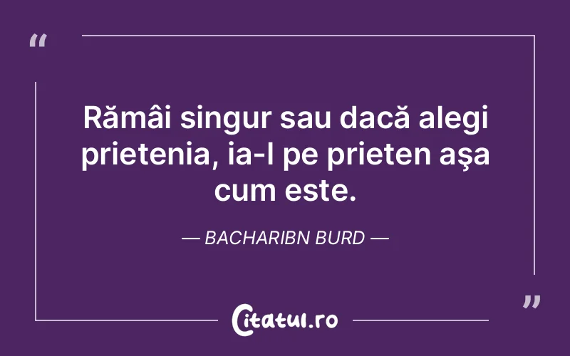 Rămâi singur sau dacă alegi prietenia, ia-l pe prieten aşa cum este. BacharIbn Burd