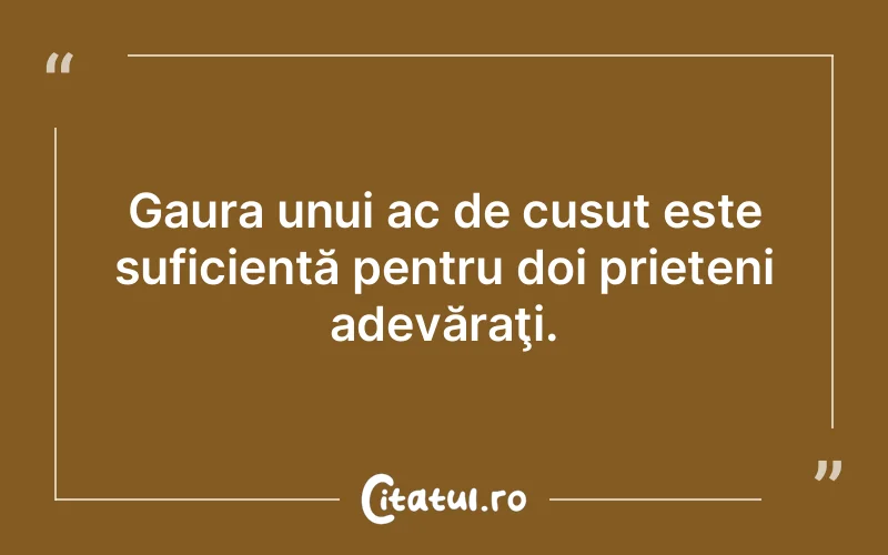 Citat Autor necunoscut - citate prietenie