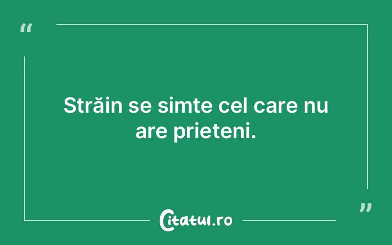 Citat Autor necunoscut - citate prietenie