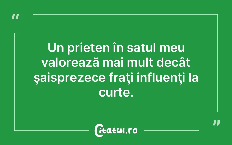 Citat Autor necunoscut - citate prietenie