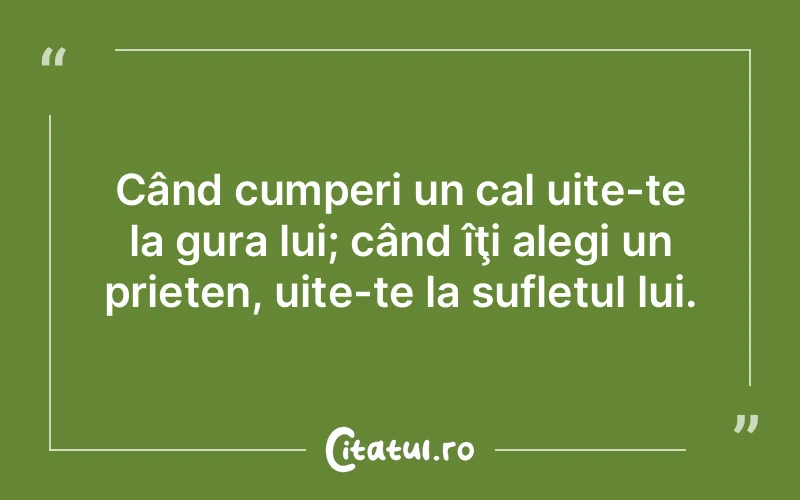 Citat Autor necunoscut - citate prietenie