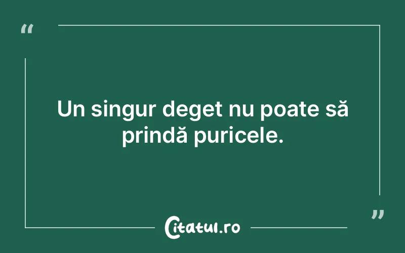 Citat Autor necunoscut - citate prietenie