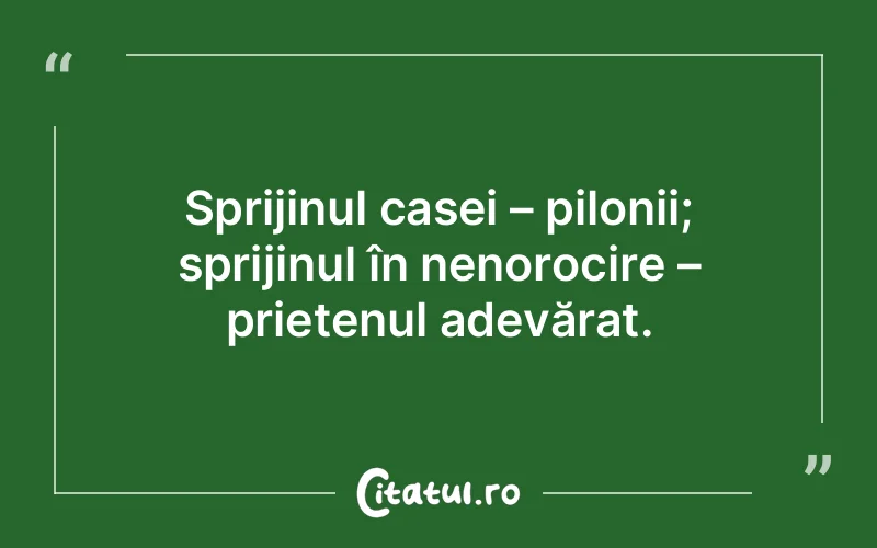 Citat Autor necunoscut - citate prietenie