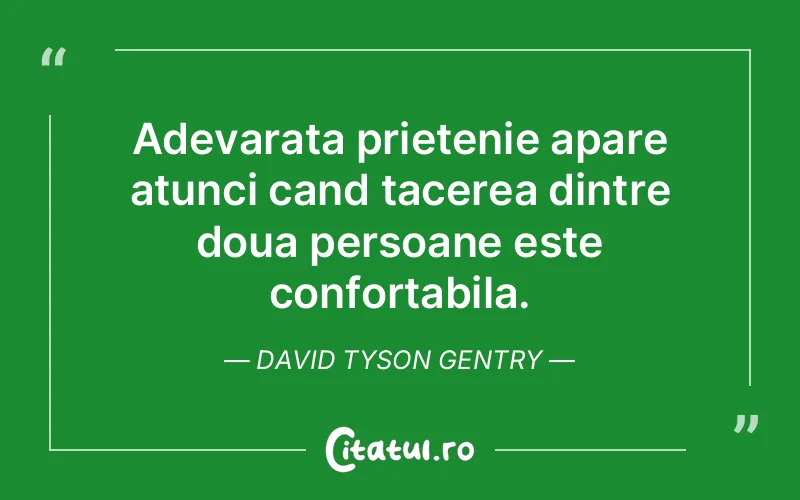 Adevarata prietenie apare atunci cand tacerea dintre doua persoane este confortabila. David Tyson Gentry