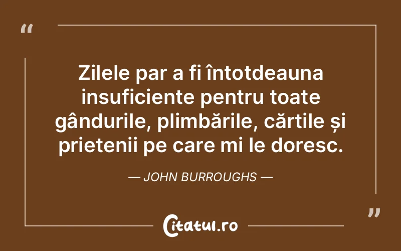 Citat John Burroughs - citate prietenie