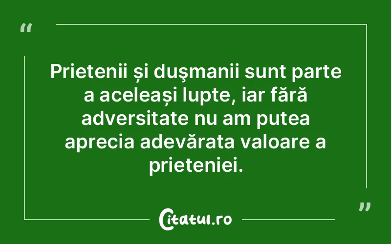 Citat Autor necunoscut - citate prietenie