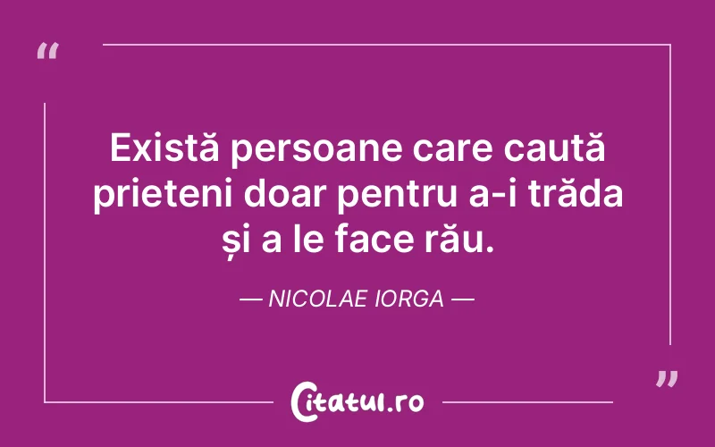 Citat Nicolae Iorga - citate prietenie