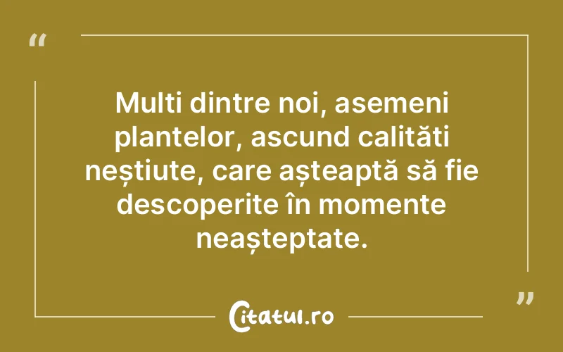 Citat Autor necunoscut - citate prietenie