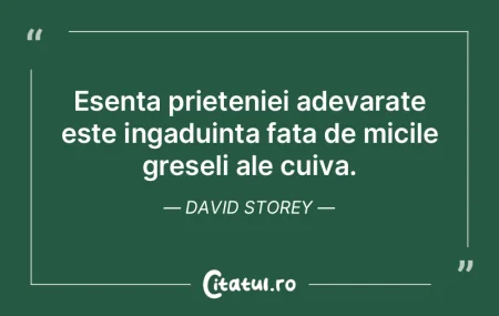 Esenta prieteniei adevarate este ingadui...