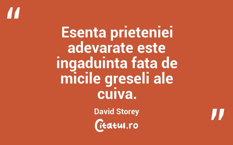 Esenta prieteniei adevarate este ingaduinta fata de micile greseli ale cuiva. David Storey
