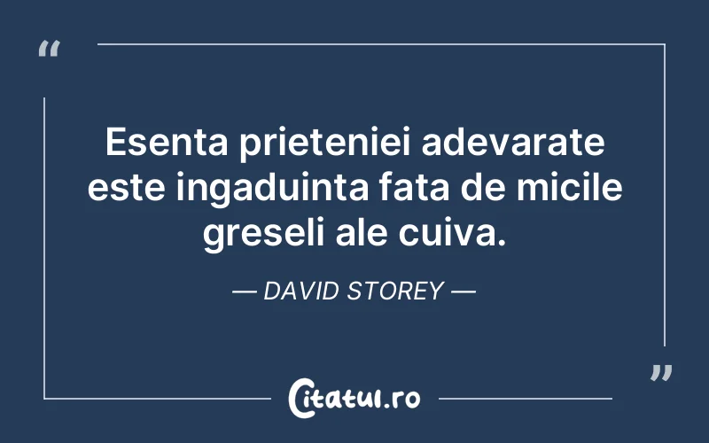 Citat David Storey - citate prietenie