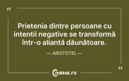 Alege-ți prietenii cu grijă, caută-i ...