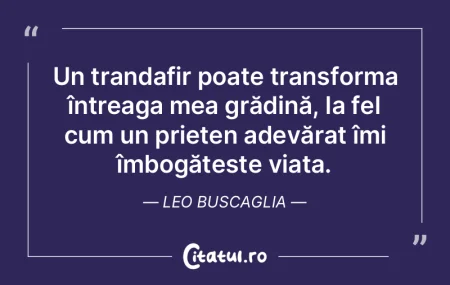 Cine își împarte prietenia cu toți, ...