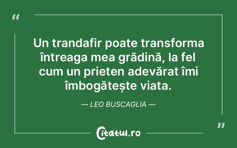 Citat Leo Buscaglia - citate prietenie