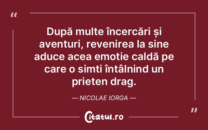 Citat Nicolae Iorga - citate prietenie