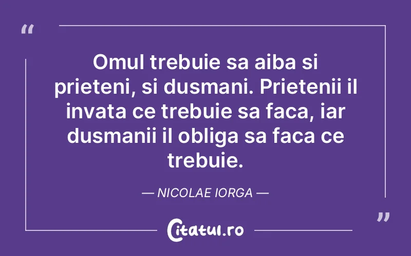 Citat Nicolae Iorga - citate prietenie