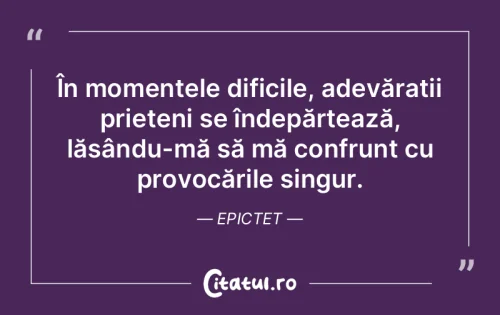 Citat Prietenie - Citatul.ro