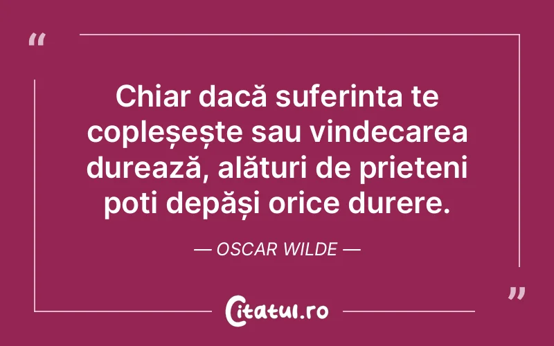 Citat Oscar Wilde - citate prietenie