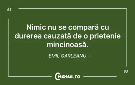 Prietenia nu se învață în școală, ...