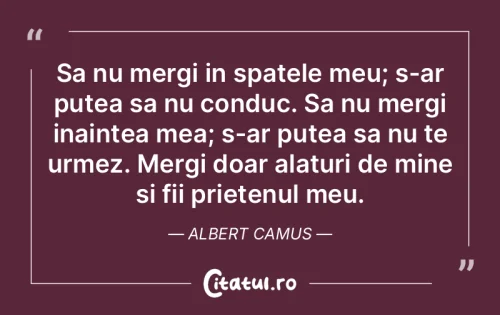 Citat Prietenie - Citatul.ro