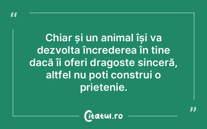 Citat Autor necunoscut - citate prietenie