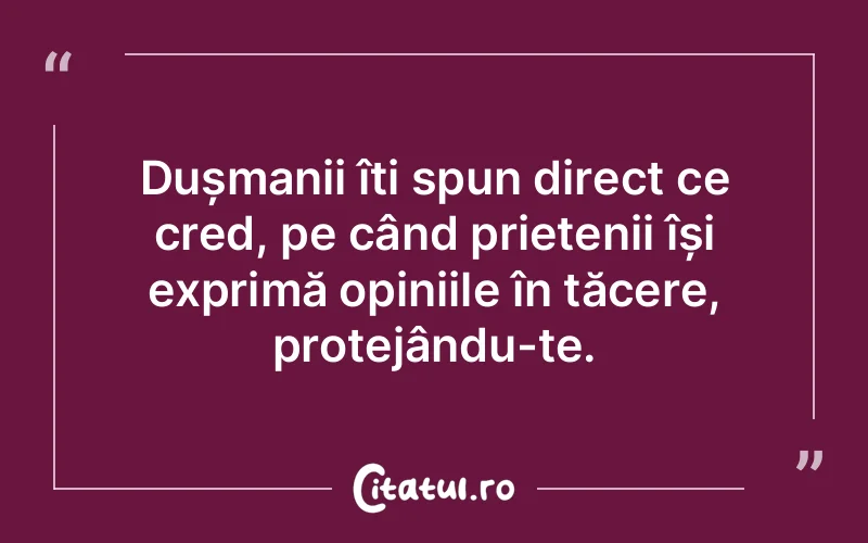 Citat Autor necunoscut - citate prietenie