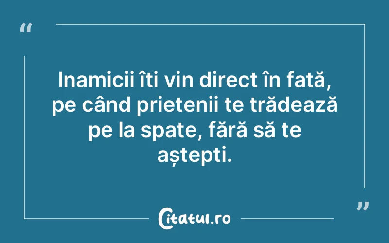 Citat Autor necunoscut - citate prietenie