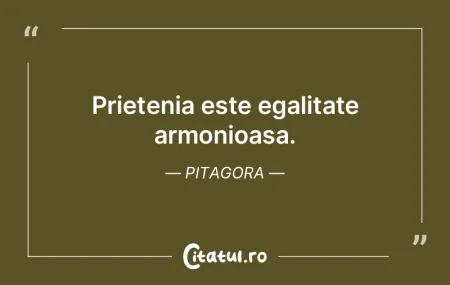Prietenia este egalitate armonioasa. Pit...