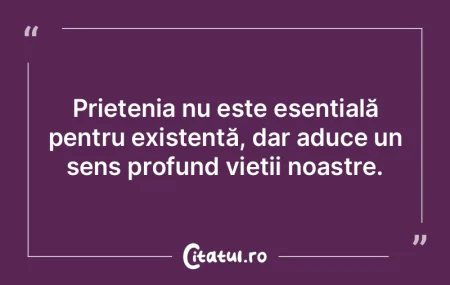 Viața fără prieteni nu ar avea sens, ...