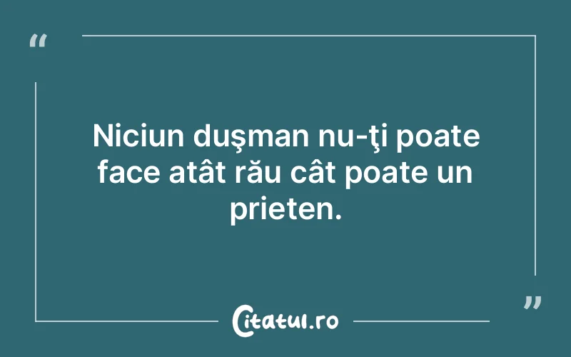 Citat Autor necunoscut - citate prietenie