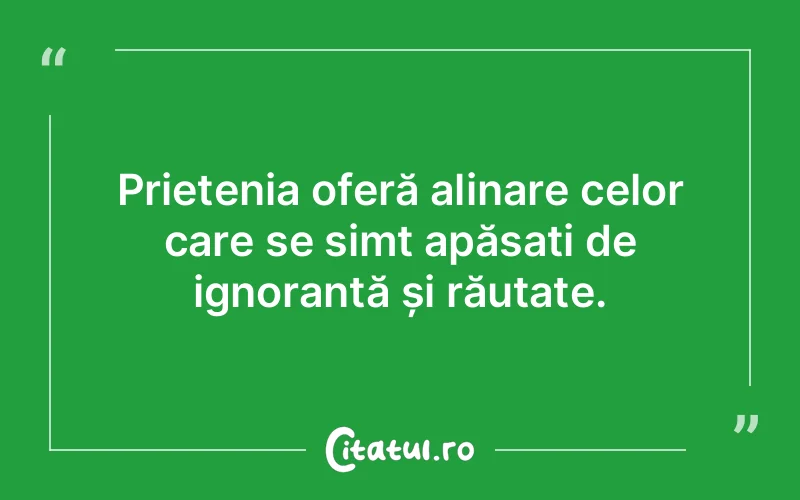 Citat Autor necunoscut - citate prietenie