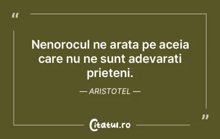 Nenorocul ne arata pe aceia care nu ne s...