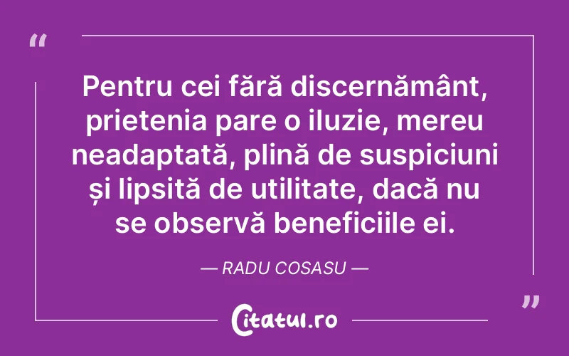 Citat Radu Cosasu - citate prietenie