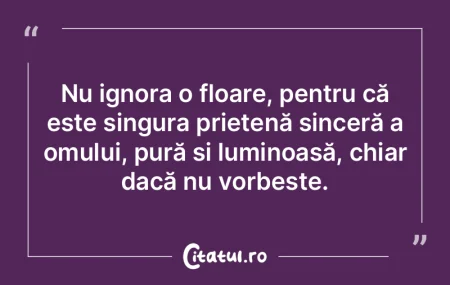 Un singur prieten poate înfrunta cu suc...