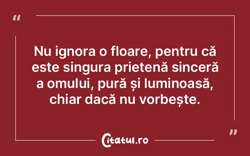 Citat Autor necunoscut - citate prietenie