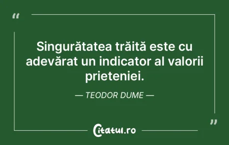 Am realizat că a nu avea prieteni nu es...