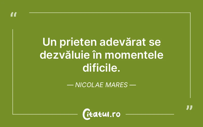 Citat Nicolae Mares - citate prietenie
