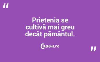 Prietenia nu poate fi înţeleasă făr...