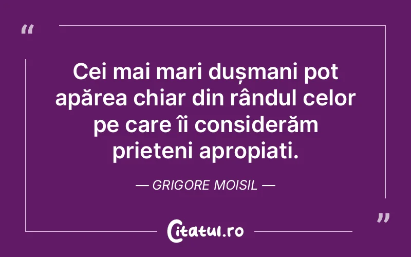 Citat Grigore Moisil - citate prietenie