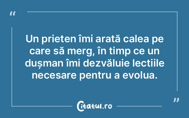 Citat Autor necunoscut - citate prietenie