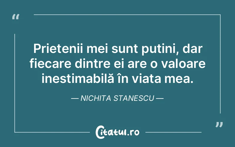 Prietenii mei sunt puțini, dar fiecare dintre ei are o valoare inestimabilă în viața mea. Nichita Stanescu