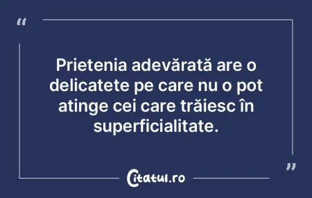 Prietenia reflectă esența noastră pro...