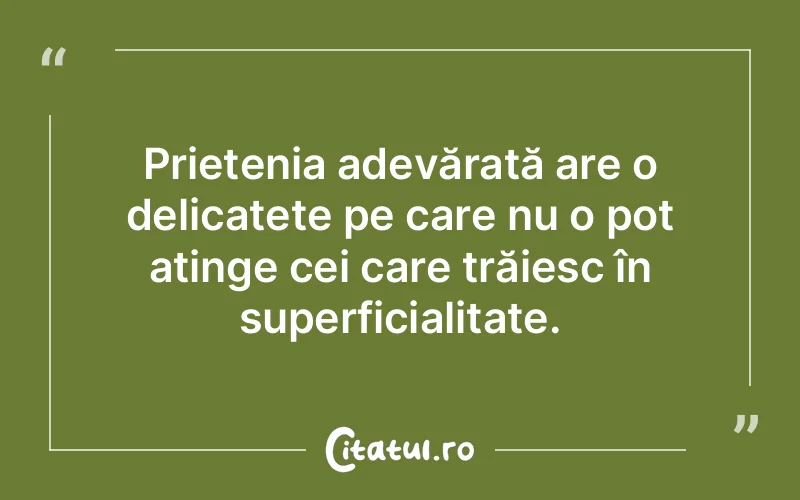 Citat Autor necunoscut - citate prietenie