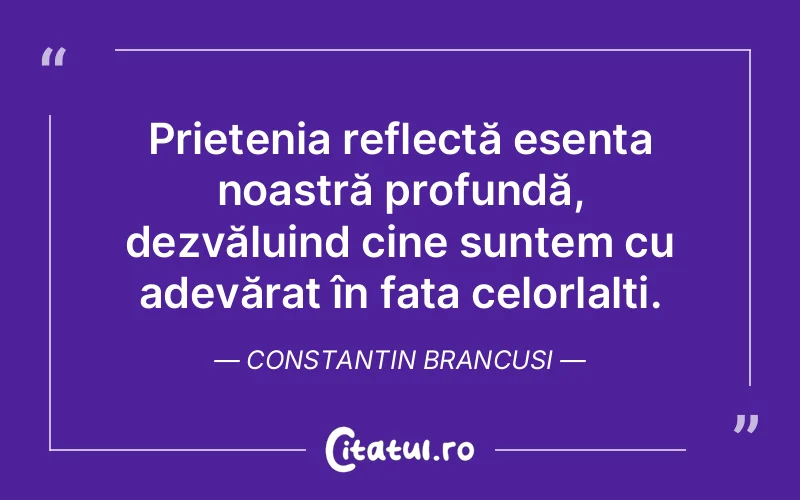 Citat Constantin Brancusi - citate prietenie