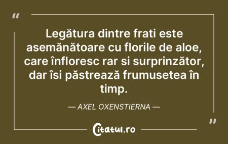 Prietenii temporari sunt asemănători c...