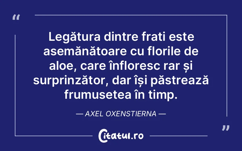 Citat Axel Oxenstierna - citate prietenie